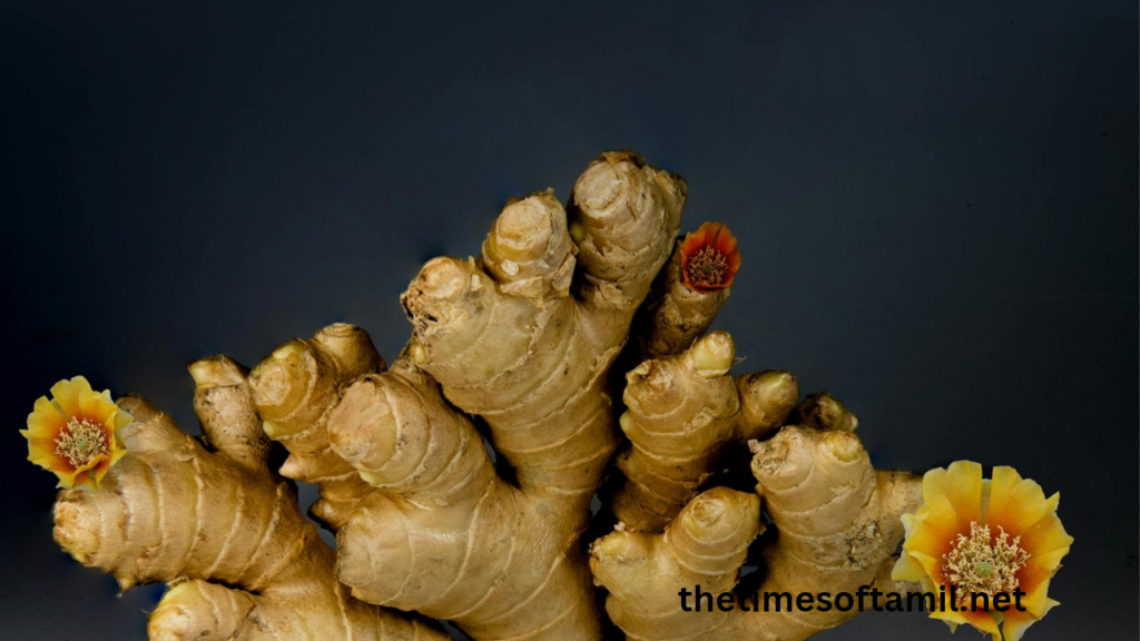 The Body's Secret Weapon for a Healthy Respiratory System